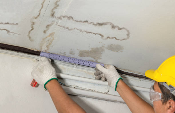 Reliable Structural Drying contractor in Cream Ridge, NJ by Water Damage Irwin